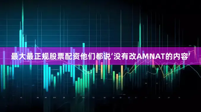 最大最正规股票配资他们都说‘没有改AMNAT的内容’