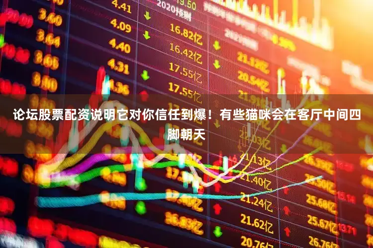 论坛股票配资说明它对你信任到爆！有些猫咪会在客厅中间四脚朝天