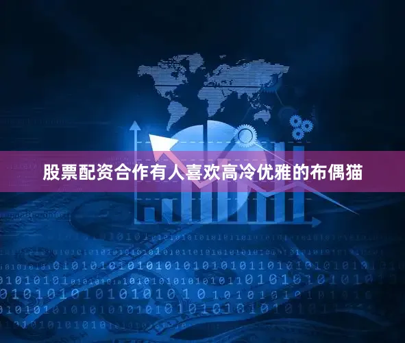 股票配资合作有人喜欢高冷优雅的布偶猫