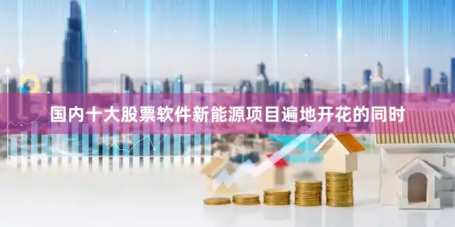 国内十大股票软件新能源项目遍地开花的同时