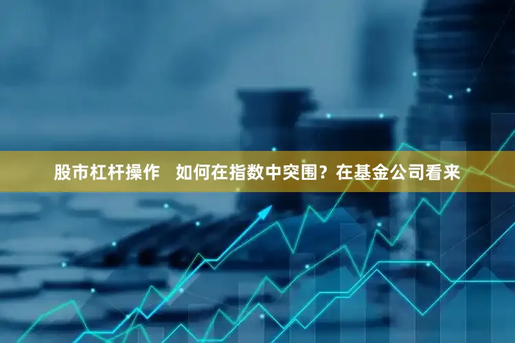 股市杠杆操作   如何在指数中突围？在基金公司看来